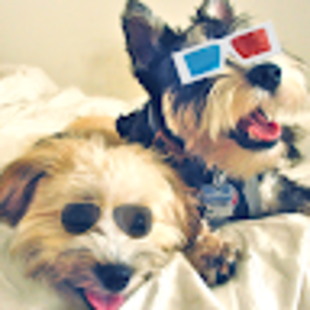 Meet your Posher, Toria